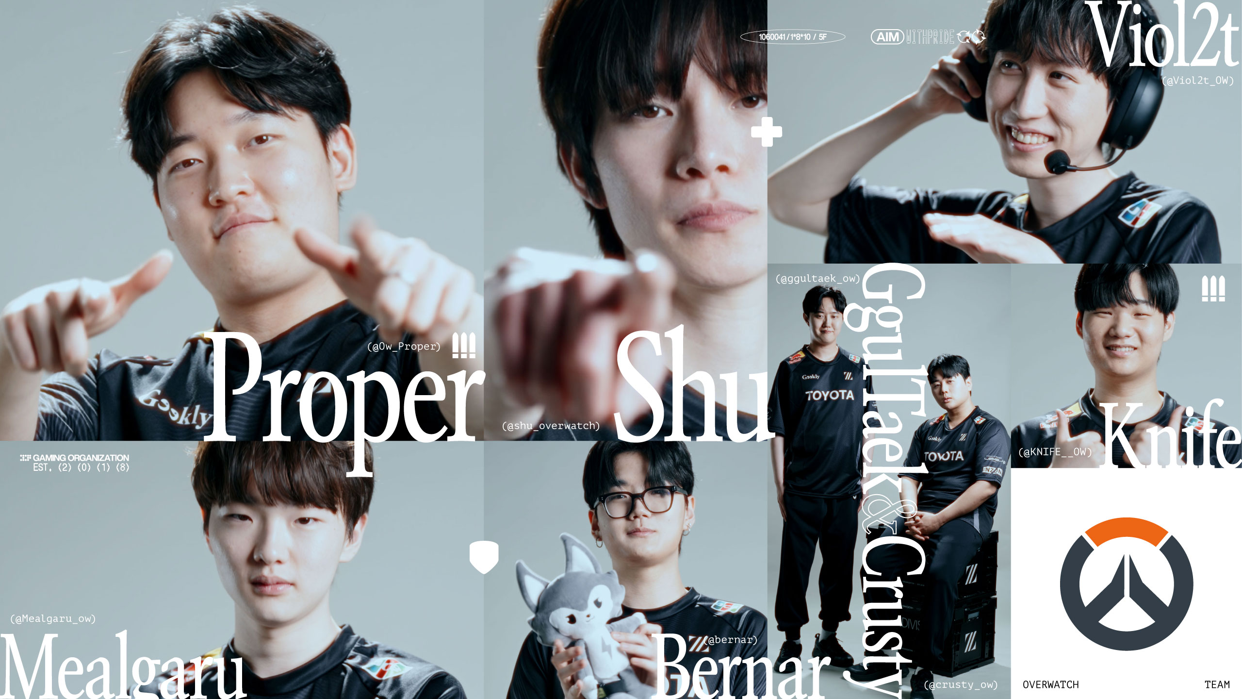 OVERWATCH Team New Roster